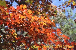 IMG_3159