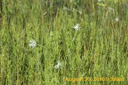 IMG_0035