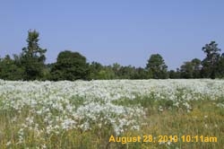 IMG_0176
