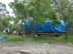DSC00656