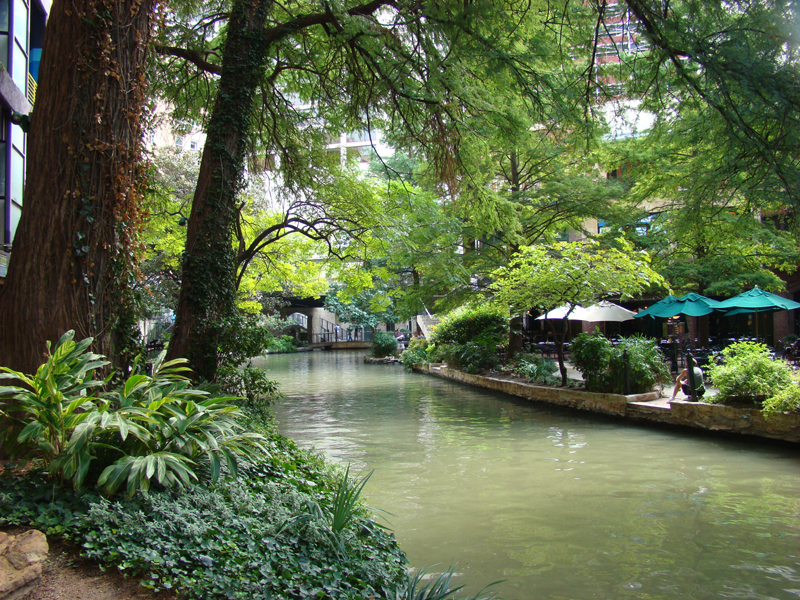 DSC06000