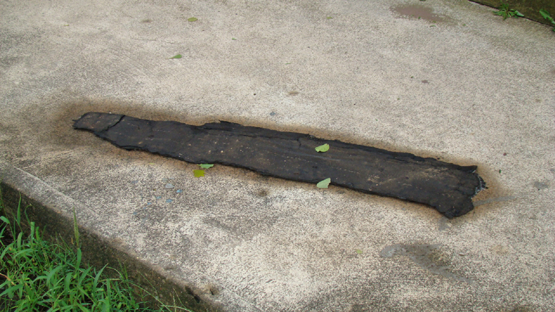 DSC01815