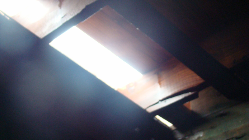 DSC01820