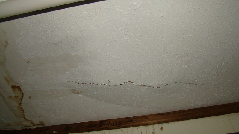 DSC01907