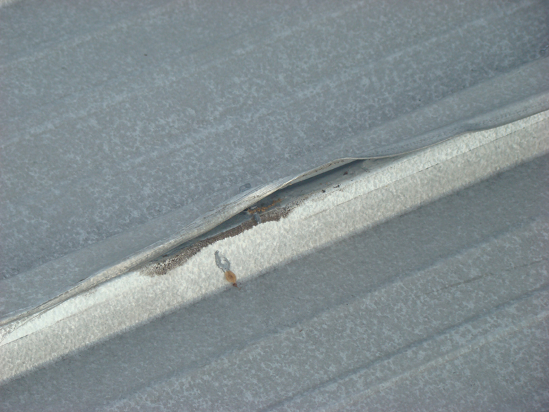 DSC06266