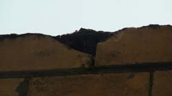 DSC01756