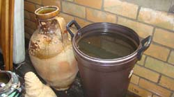 DSC01830