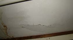 DSC01907