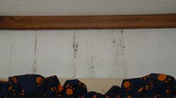 DSC01911