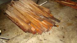 DSC01916