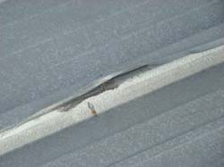 DSC06266