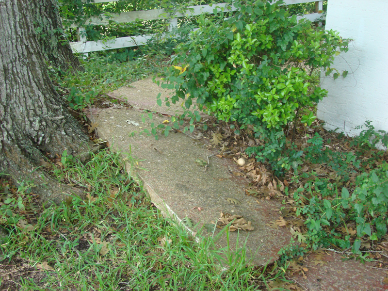 DSC04159