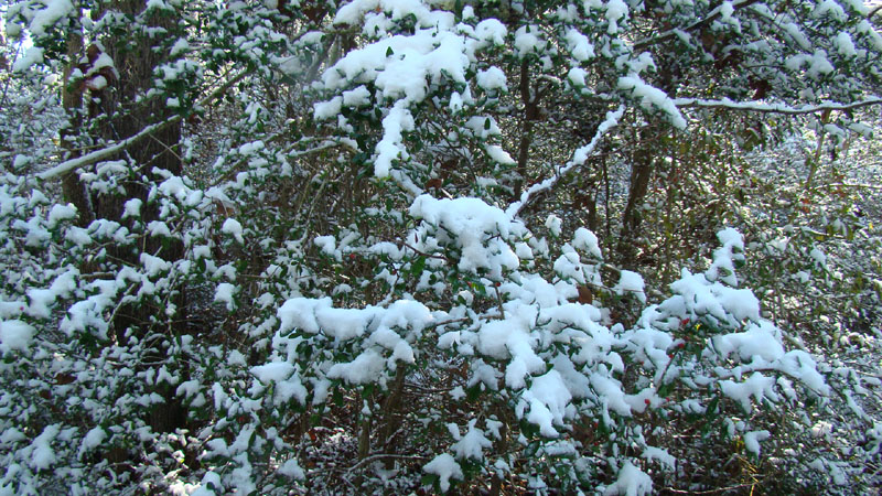 DSC02314