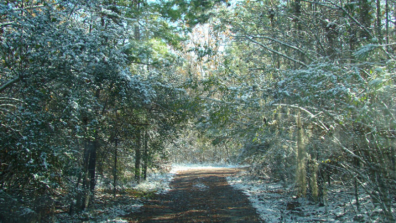 DSC02317