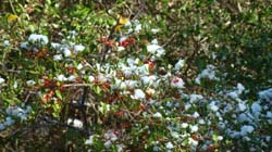 DSC02316