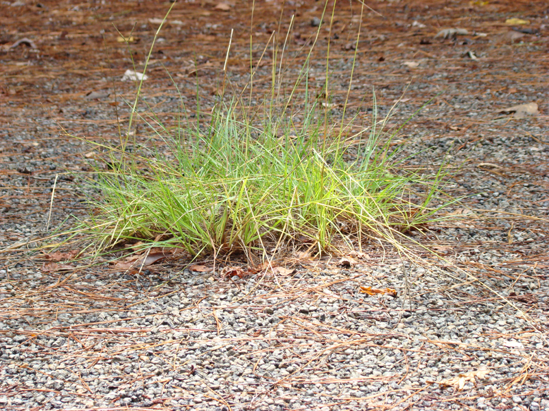 DSC05279