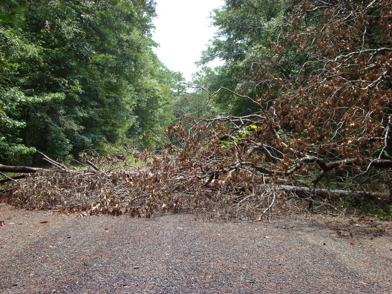 DSC05286