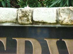 DSC05311
