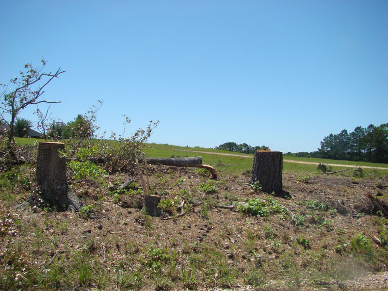 DSC08833