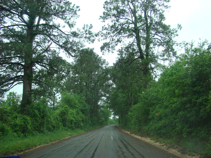 DSC08910
