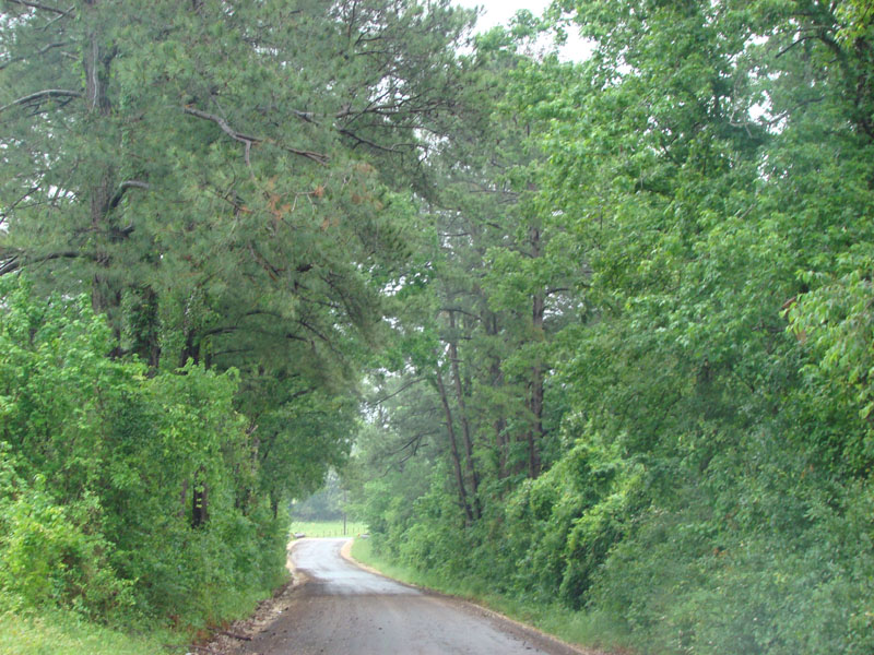 DSC08912