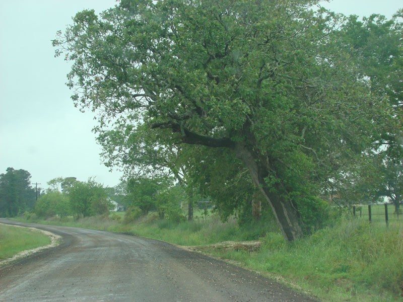 DSC08914