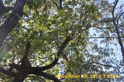IMG_2126