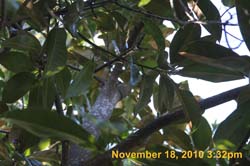IMG_2167