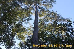 IMG_2216