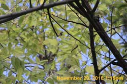 IMG_2270