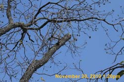 IMG_2280