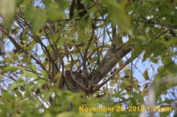 IMG_2290