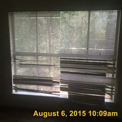 IMG_3984 (2)