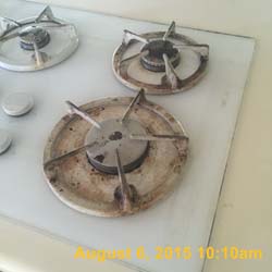 IMG_3989 (2)