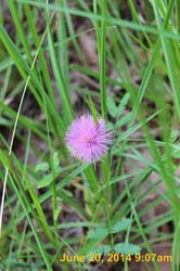 IMG_9450
