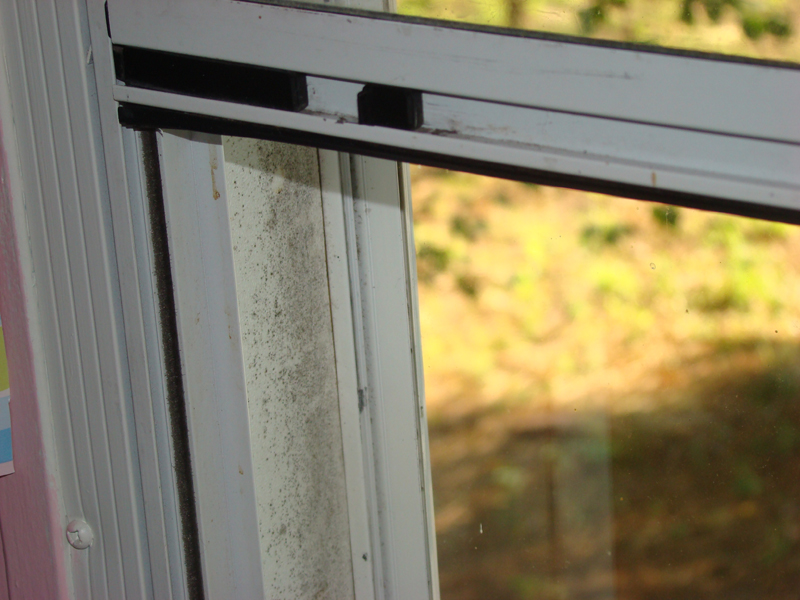 DSC00807