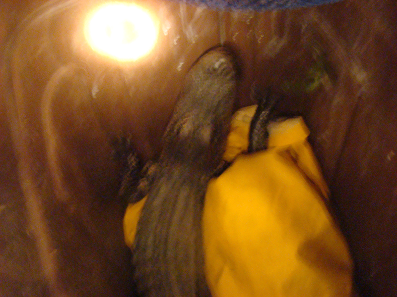 DSC00857