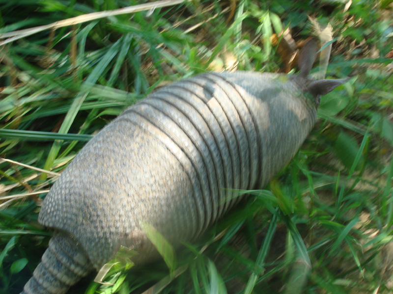 DSC00901