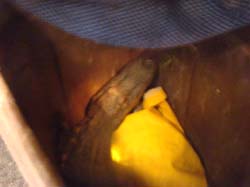 DSC00859