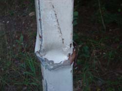 DSC00886