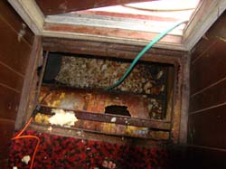 DSC00982