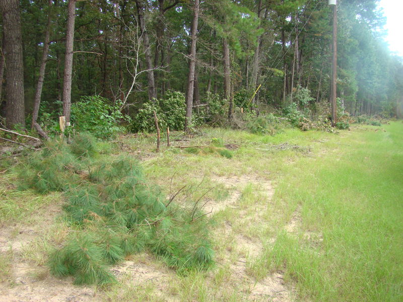 DSC01179