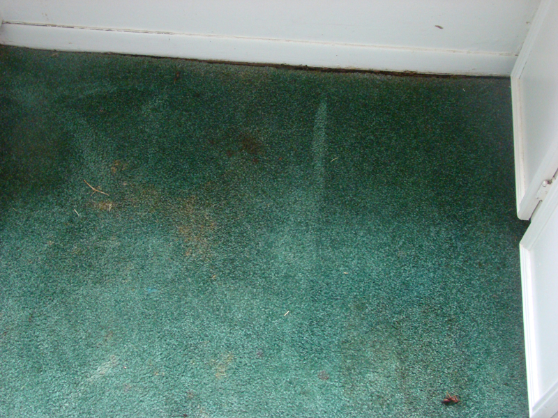 DSC01201
