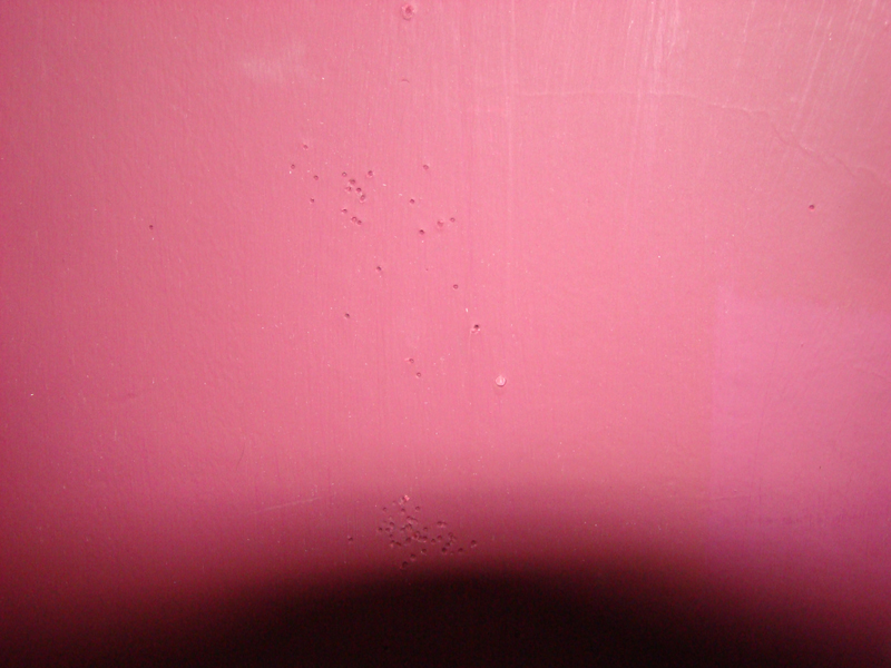 DSC01299