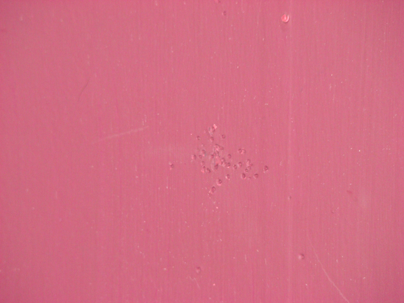DSC01302