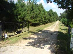 DSC01169