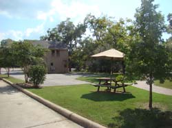 DSC01264