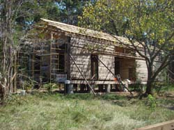 DSC01541
