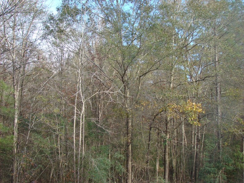 DSC01904