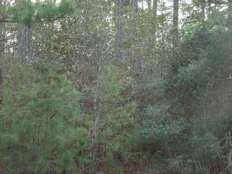 DSC01905
